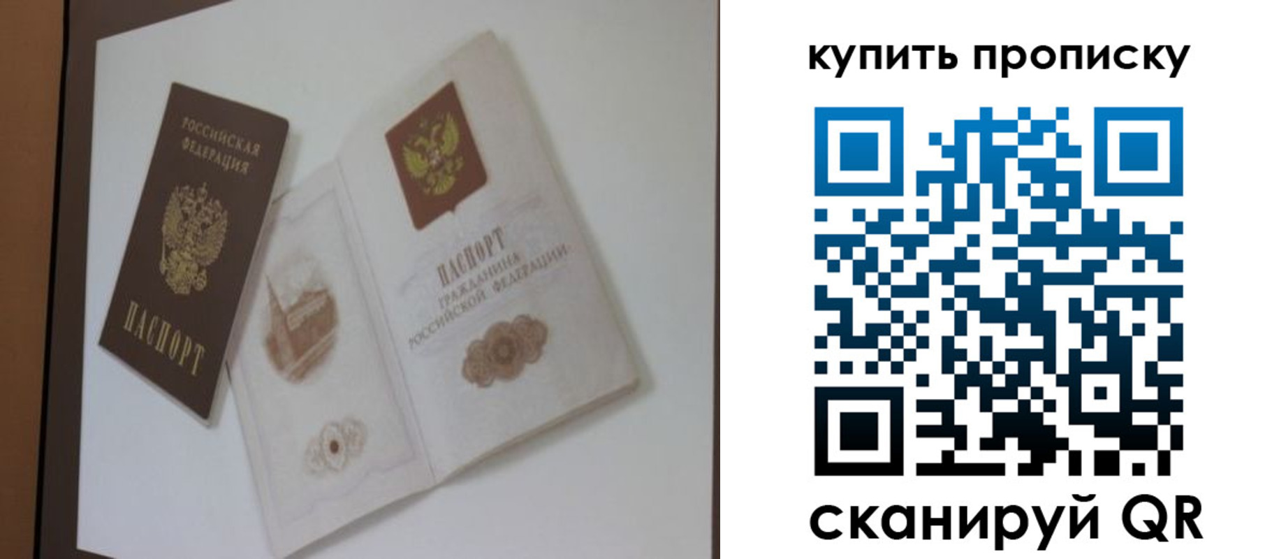 где прописаться в Дмитрове